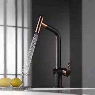 Zloto czarna bateria kuchenna bateria kuchenna z wyciąganą wylewką Nett FBG-44 foto